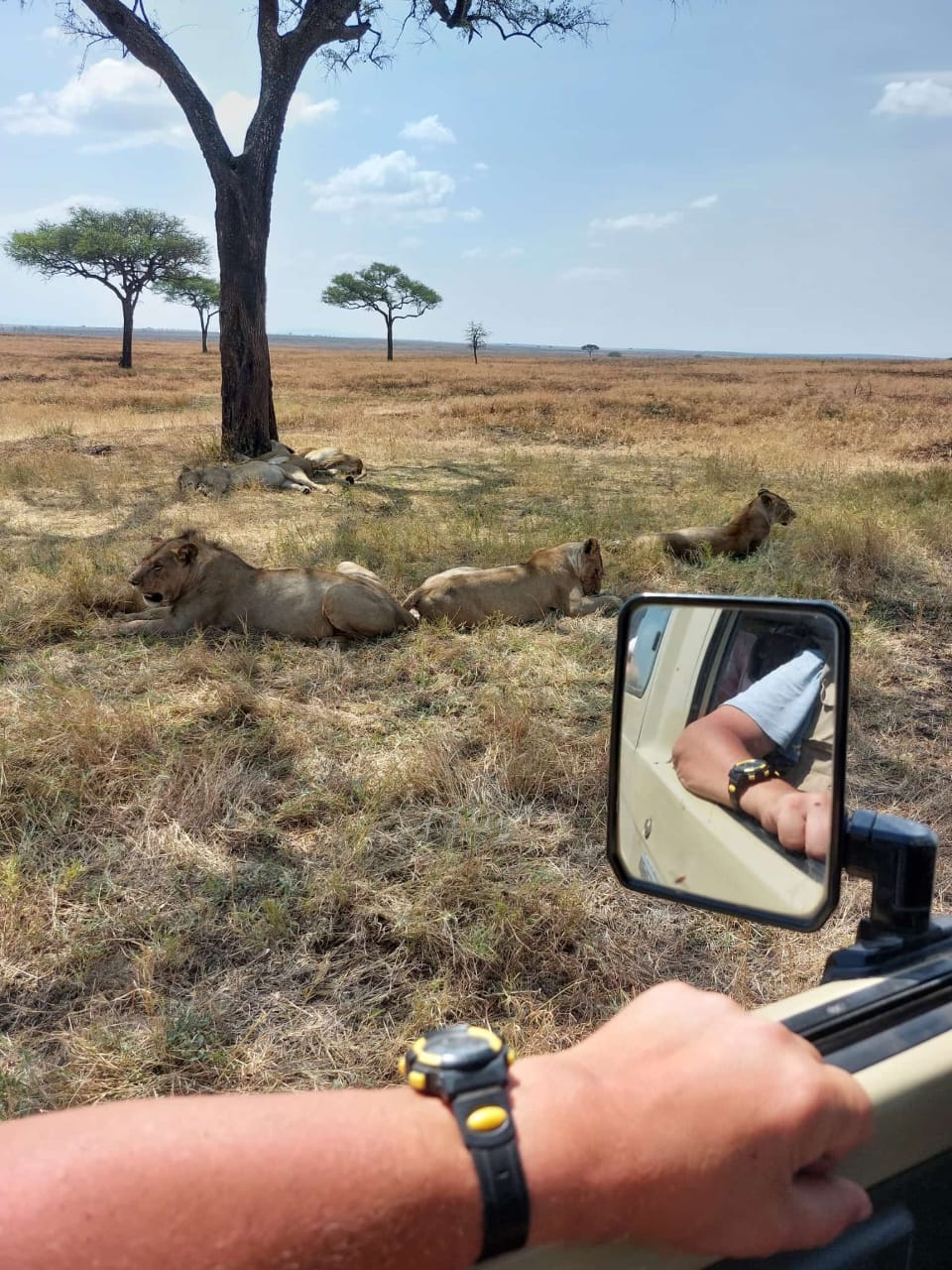 African Clay Safaris Land Cruiser Bush Camper